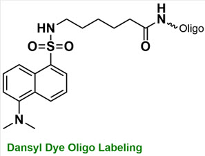 Bio-Synthesis Inc. Oligo Structure